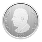 2026 50 CENTS WHIMSICAL WINTER LENTICULAR COIN