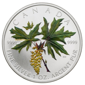 2005 1oz $5 SILVER MAPLE LEAF COLOURED COIN - BIG LEAF MAPLE