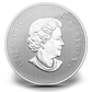 2013 1/2oz $10 -YEAR OF THE SNAKE - FINE SILVER COIN