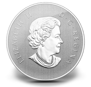 2013 1/2oz $10 -YEAR OF THE SNAKE - FINE SILVER COIN