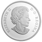 2015 1oz $20 ICE DANCER FINE SILVER COIN