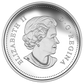 2015 1oz $20 AUTUMN EXPRESS FINE SILVER COIN