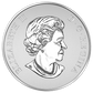 2016 1/2oz $10 WELCOME TO THE WORLD FINE SILVER COIN