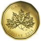2016 - O CANADA GIFT SET