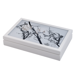 2016 5oz $15 LANDSCAPE ILLUSIONS 5-COIN SET IN PRESENTATION CASE (TONED & NO SLEEVE)