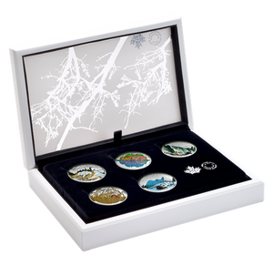 2016 5oz $15 LANDSCAPE ILLUSIONS 5-COIN SET IN PRESENTATION CASE (TONED)