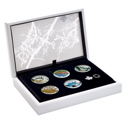 2016 5oz $15 LANDSCAPE ILLUSIONS 5-COIN SET IN PRESENTATION CASE (TONED)