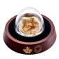 2017 10oz $100 SCULPTURE OF MAJESTIC CANADIAN ANIMALS: GRIZZLY BEAR FINE SILVER COIN