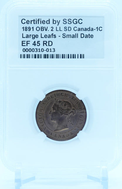 1891 1 CENT CANADA OBV.2 LL SD LARGE LEAFS – SMALL DATE – EF 45 RD – GRADED