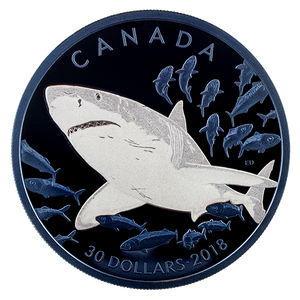 2018 2oz $30 THE GREAT WHITE SHARK FINE SILVER COIN