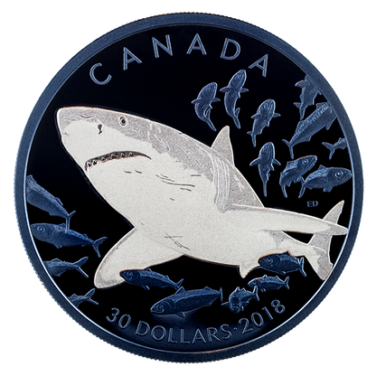 2018 2oz $30 THE GREAT WHITE SHARK FINE SILVER COIN