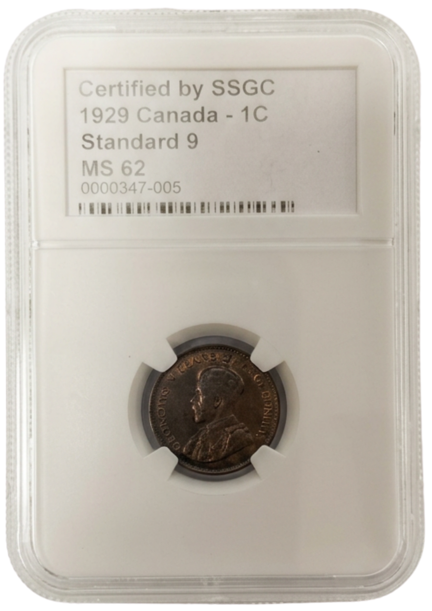 1929 1 CENT CANADA STANDARD 9 – MS 62 – GRADED (347-005)