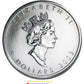 2003 1oz FINE SILVER - MAPLE LEAF COLOURED COIN