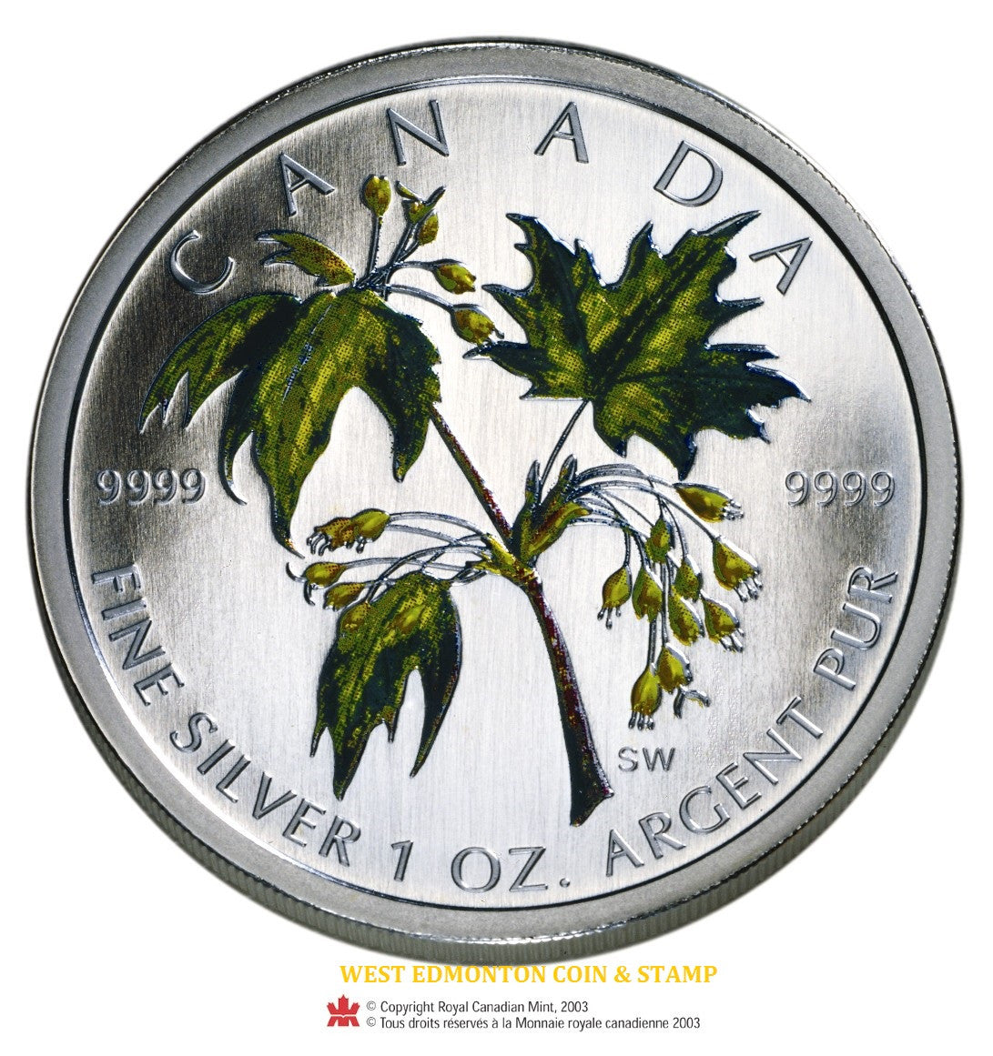2003 1oz MAPLE LEAF COLOURED FINE SILVER COIN (NO SLEEVE)