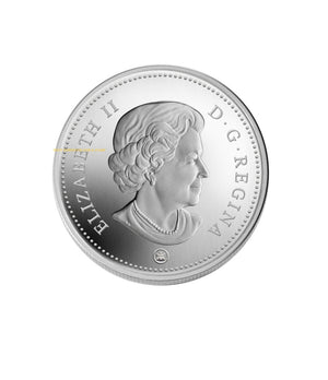 2008 1oz $20 CRYSTAL RAINDROP FINE SILVER COIN