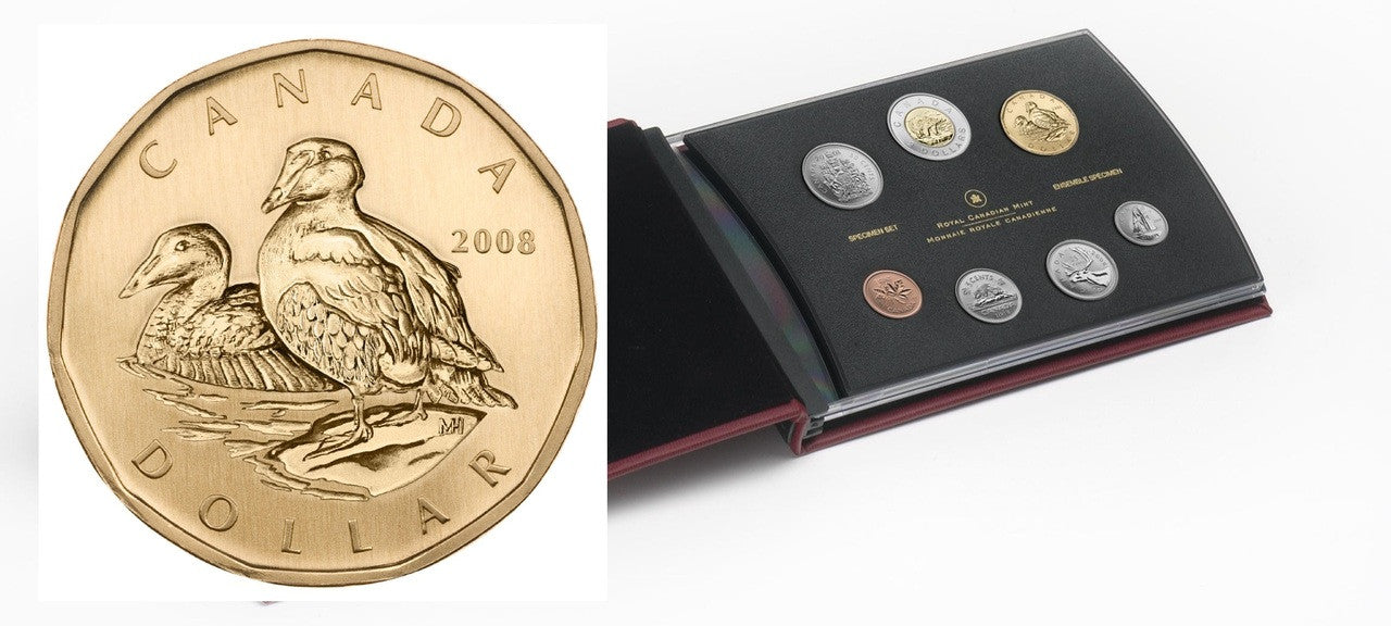 2008 7-COIN SPECIMEN SET - COMMON EIDER LOONIE