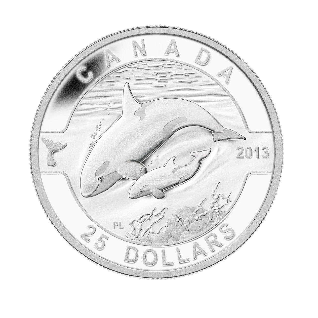 2013 1oz $25 O CANADA SERIES - ORCA - KILLER WHALE FINE SILVER COIN
