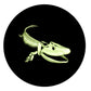 2014 25-CENT GLOW IN THE DARK COLOURED COIN TIKTAALIK