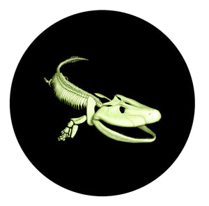 2014 25-CENT GLOW IN THE DARK COLOURED COIN TIKTAALIK