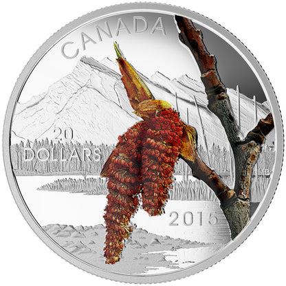 2015 1oz $20 FORESTS OF CANADA: BOREAL BALSAM POPLAR FINE SILVER COIN