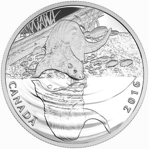 2016 $10 REFLECTIONS OF WILDLIFE FINE SILVER 3-COIN SET