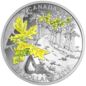 2016 1oz $20 JEWEL OF THE RAIN: BIGLEAF MAPLE FINE SILVER COIN