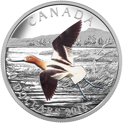 2016 1oz $20 THE MIGRATORY BIRDS CONVENTION: 100 YEARS OF PROTECTION THE AMERICAN AVOCET FINE SILVER COIN