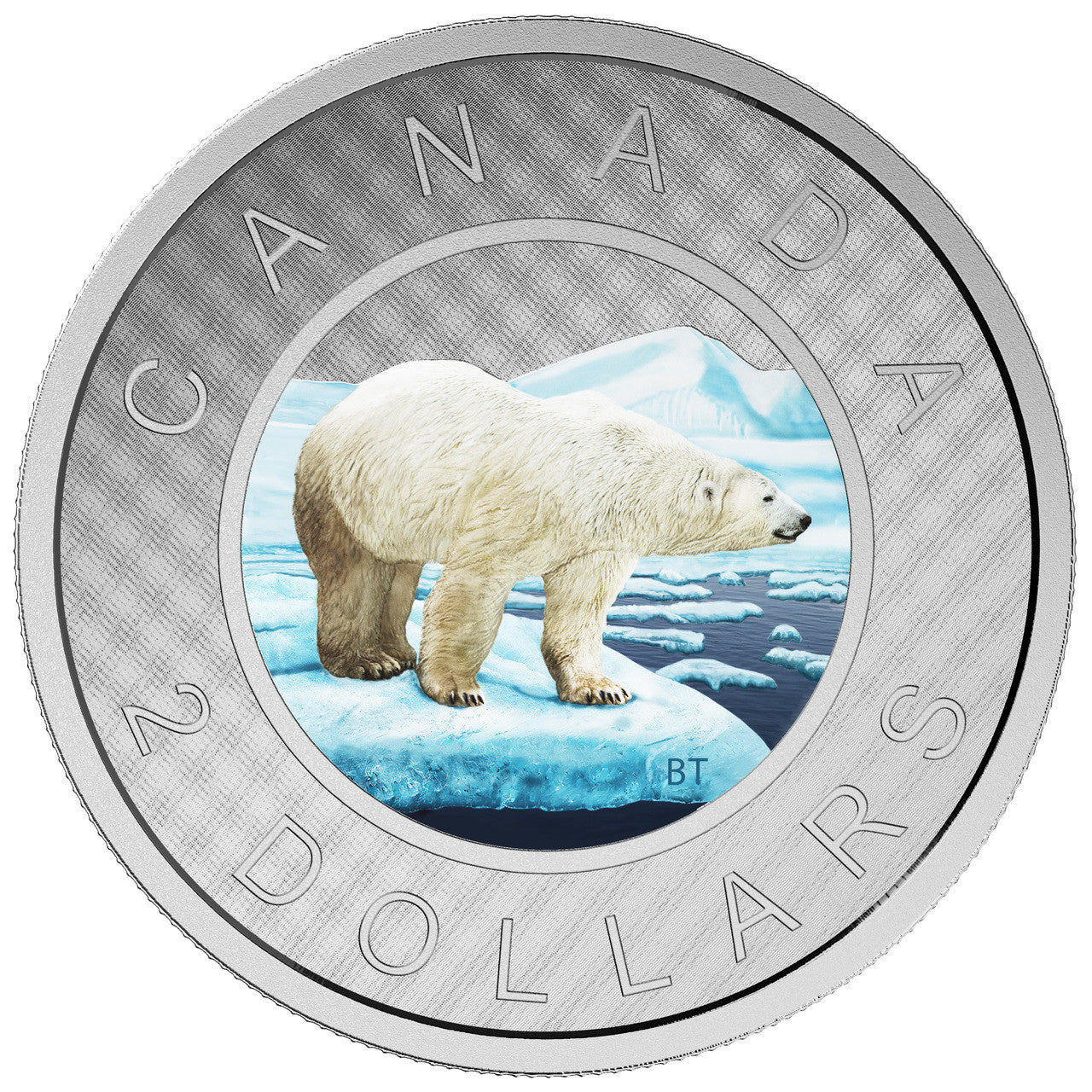 2016 5oz $2 BIG COIN SERIES (COLOURED) TOONIE FINE SILVER COIN