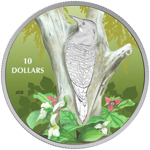2017 1/2oz $10 BIRDS AMONG NATURE'S COLOURS - NORTHERN FLICKER FINE SILVER COIN