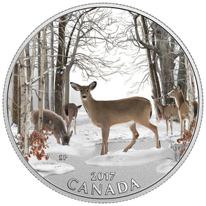 2017 1/2oz $10 SPRING SIGHTINGS FINE SILVER COIN