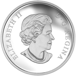 2017 1oz $20 A PLATINUM CELEBRATION FINE SILVER COIN