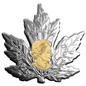 2017 1oz $20 GILDED SILVER MAPLE LEAF FINE SILVER COIN