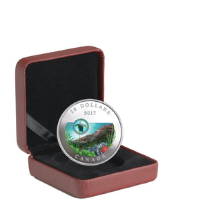 2017 1oz $20 UNDER THE SEA: SEA TURTLE FINE SILVER COIN