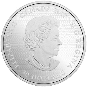 2017 2oz $30 CELEBRATING CANADA DAY FINE SILVER COIN