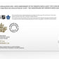 2017 TORONTO MAPLE LEAFS 100TH ANNIVERSARY COIN PACK