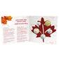 2017 O CANADA: 150 YEARS GIFT SET COIN