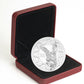 2018 10oz $100 THE ANGEL OF VICTORY 100TH ANNIVERSARY OF THE FIRST WORLD WAR ARMISTICE FINE SILVER COIN (TONED)