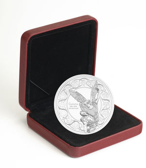 2018 10oz $100 THE ANGEL OF VICTORY 100TH ANNIVERSARY OF THE FIRST WORLD WAR ARMISTICE FINE SILVER COIN (TONED)