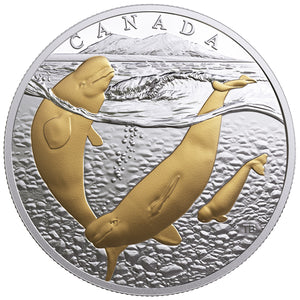 2018 1oz $20 FROM SEA TO SEA TO SEA: ARCTIC BELUGA WHALE FINE SILVER COIN