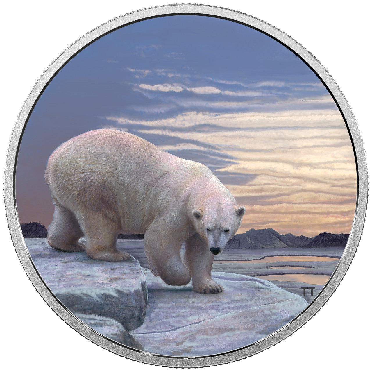 2018 2oz $30 ARCTIC ANIMALS AND NORTHERN LIGHTS: POLAR BEAR FINE SILVER COIN