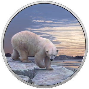 2018 2oz $30 ARCTIC ANIMALS AND NORTHERN LIGHTS: POLAR BEAR FINE SILVER COIN