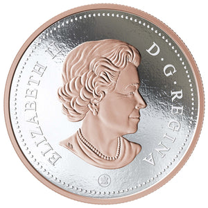 2018 5oz 25-CENT BIG COIN SERIES FINE SILVER COIN