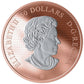 2019 5oz $50 MAPLE LEAF IN MOTION FINE SILVER COIN