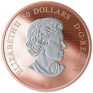2019 5oz $50 MAPLE LEAF IN MOTION FINE SILVER COIN
