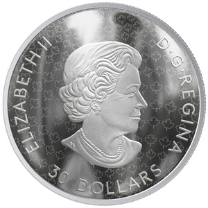 2019 2oz $30 THE FABRIC OF CANADA (FLAG COIN) FINE SILVER COIN