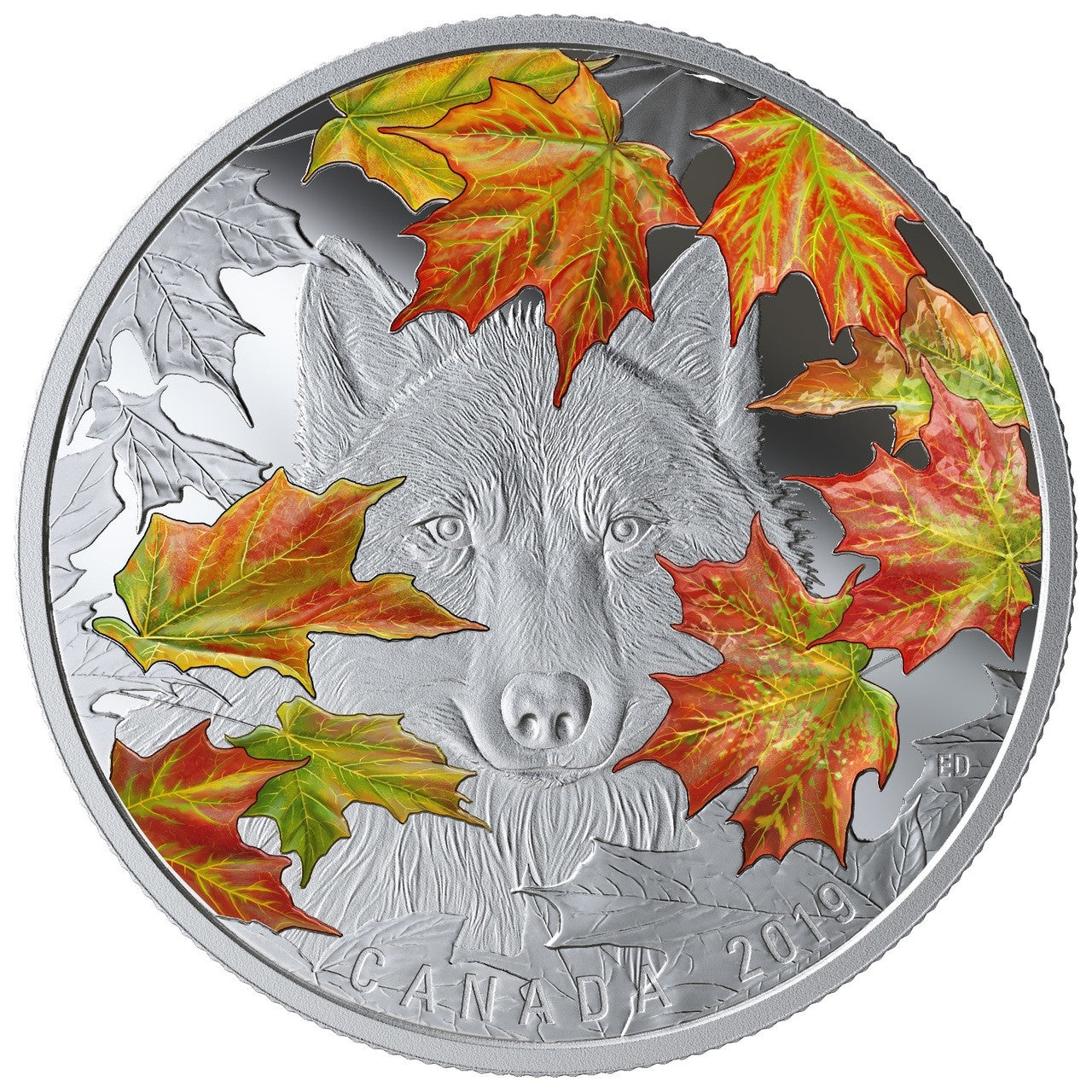 2019 2oz $30 THE WILY WOLF FINE SILVER COIN