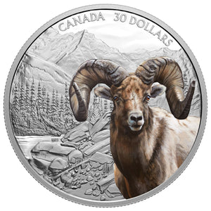 2020 2oz $30 IMPOSING ICONS: BIGHORN SHEEP FINE SILVER COIN