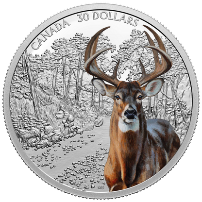 2021 2oz $30 IMPOSING ICONS: WHITE-TAILED DEER FINE SILVER COIN