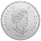 2021 $50 LAKE LOUISE FINE SILVER COIN (2.6oz)