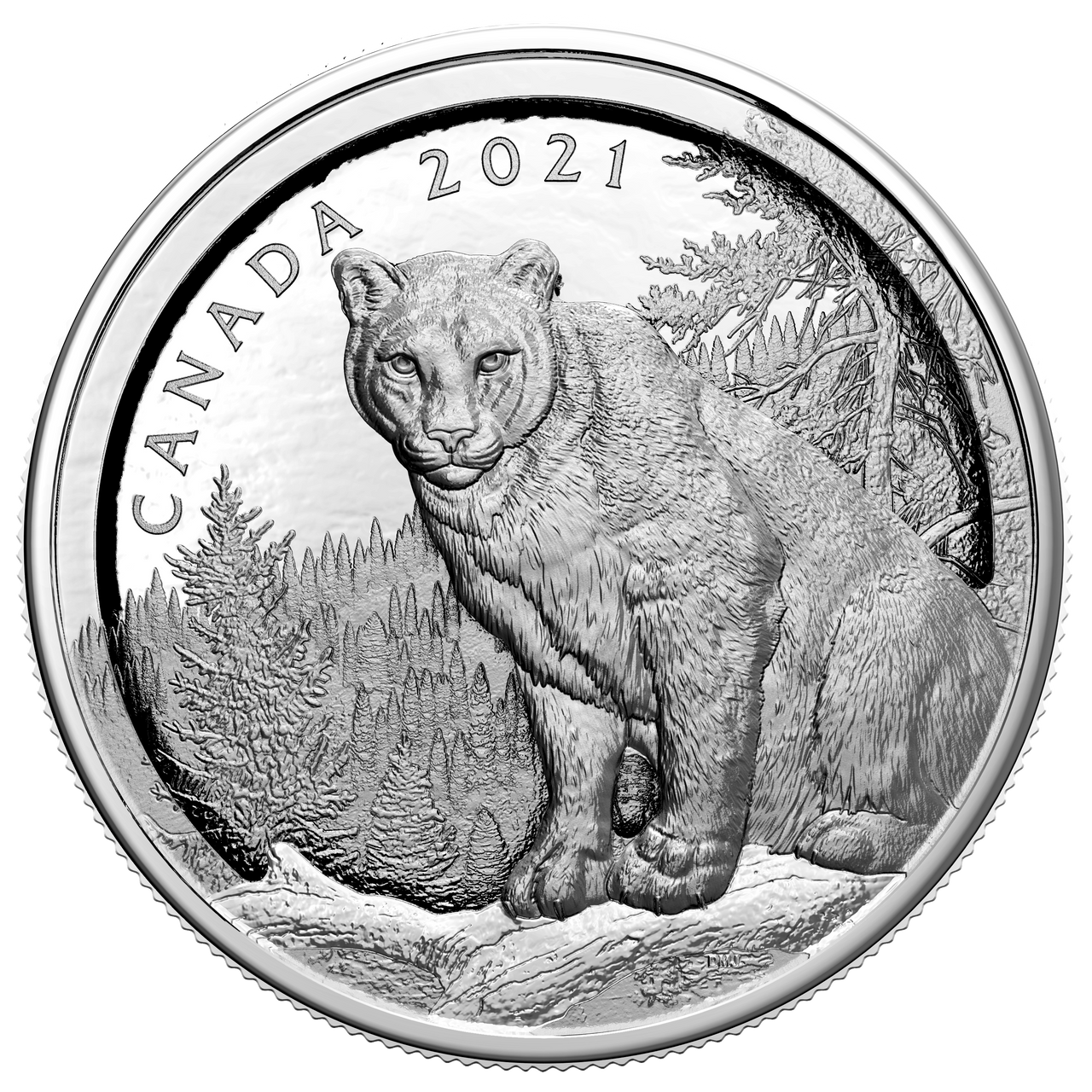 2021 $50 MULTILAYERED COUGAR FINE SILVER COIN (3.3oz)